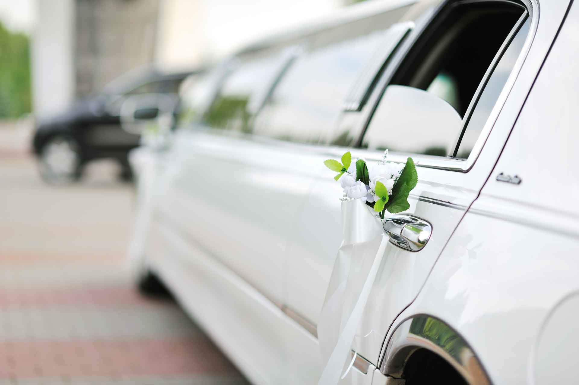 White limousine decorated for wedding